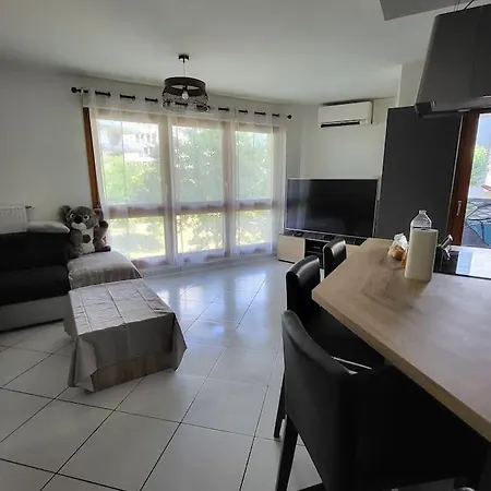 Apartment Climatise Et Moderne Lyon